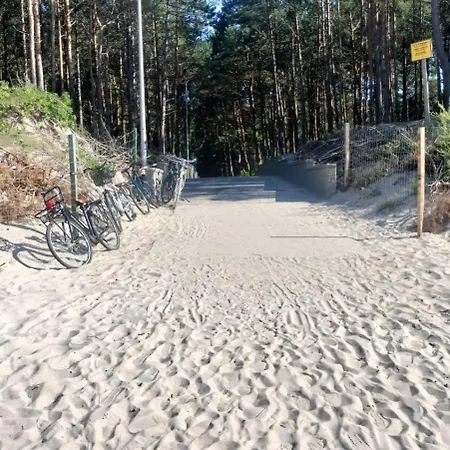 Baltic Gem
